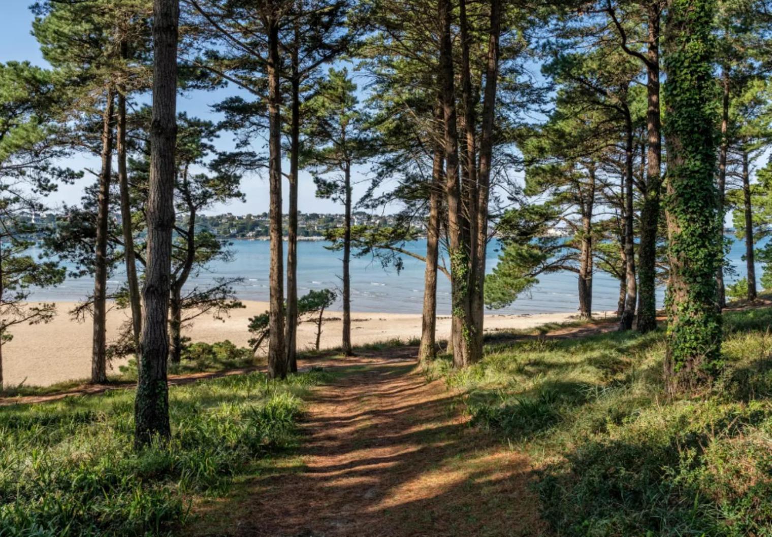 Plestin-les-Grèves Residence Route De La Corniche Vue Mer מראה חיצוני תמונה